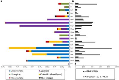 nifH gene expression and diversity in geothermal springs of Tengchong, China